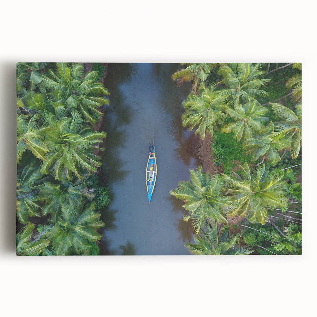 Black and white stretched canvas of Indian scenery with large trees, ideal for kitchen wall art.