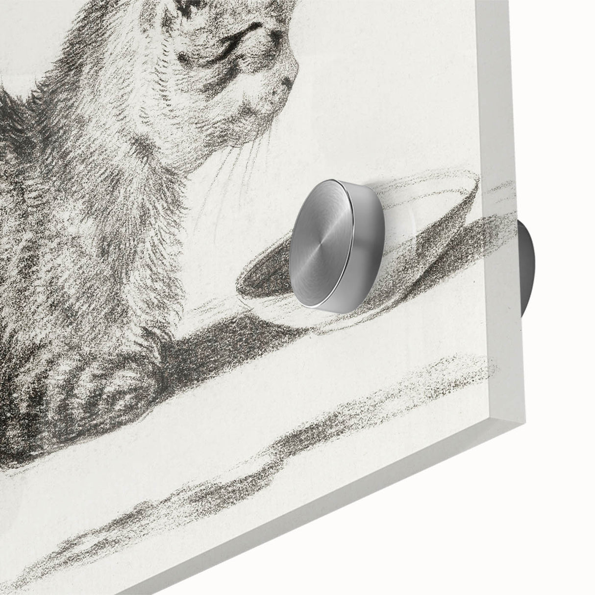 Famous Romantic Era Art: Brush Turkey - Historical Romantic Art Print