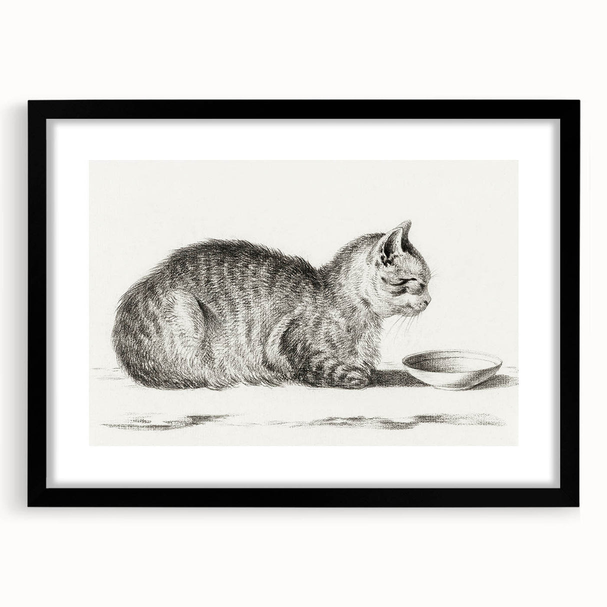 Famous Romantic Era Art: Brush Turkey - Historical Romantic Art Print