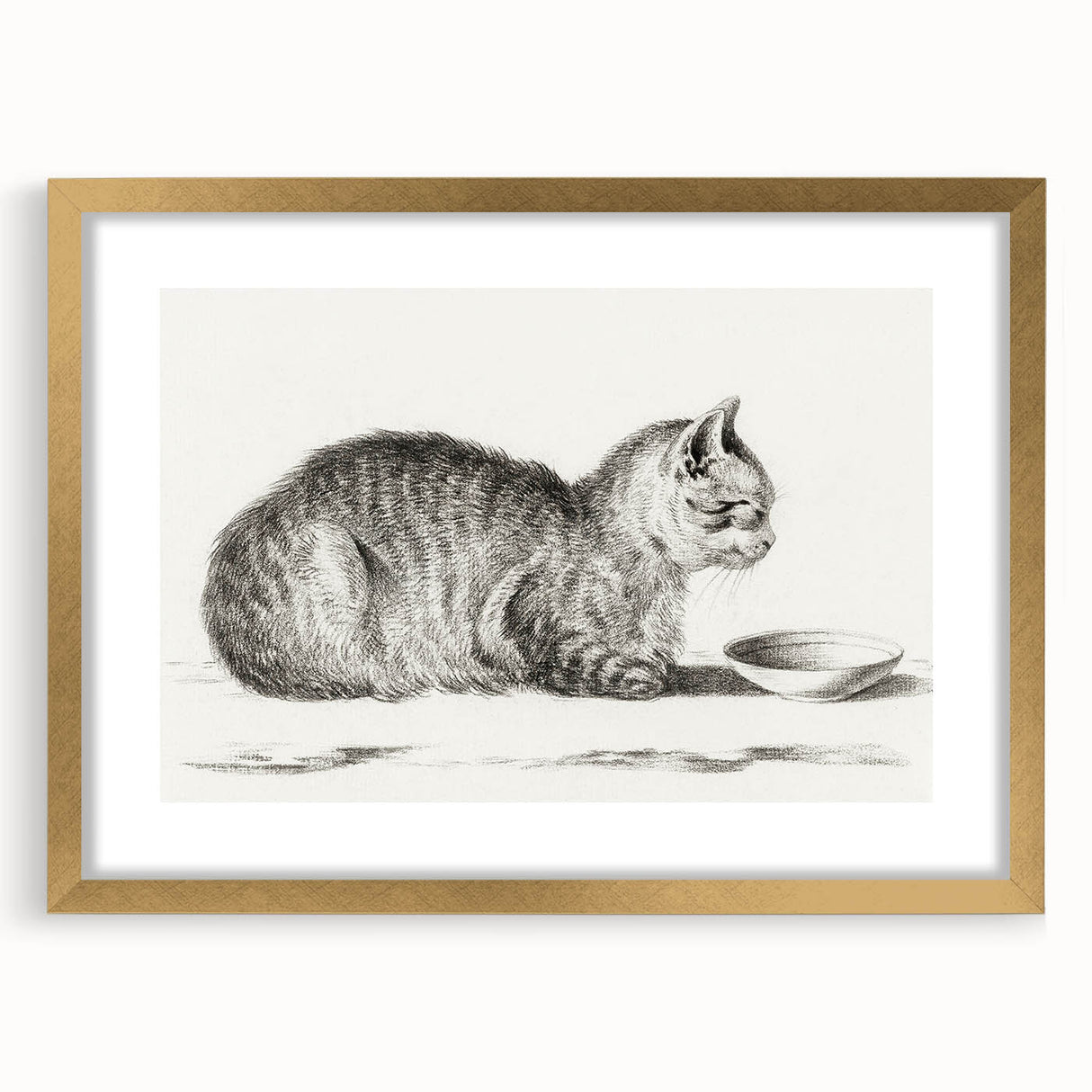 Famous Romantic Era Art: Brush Turkey - Historical Romantic Art Print