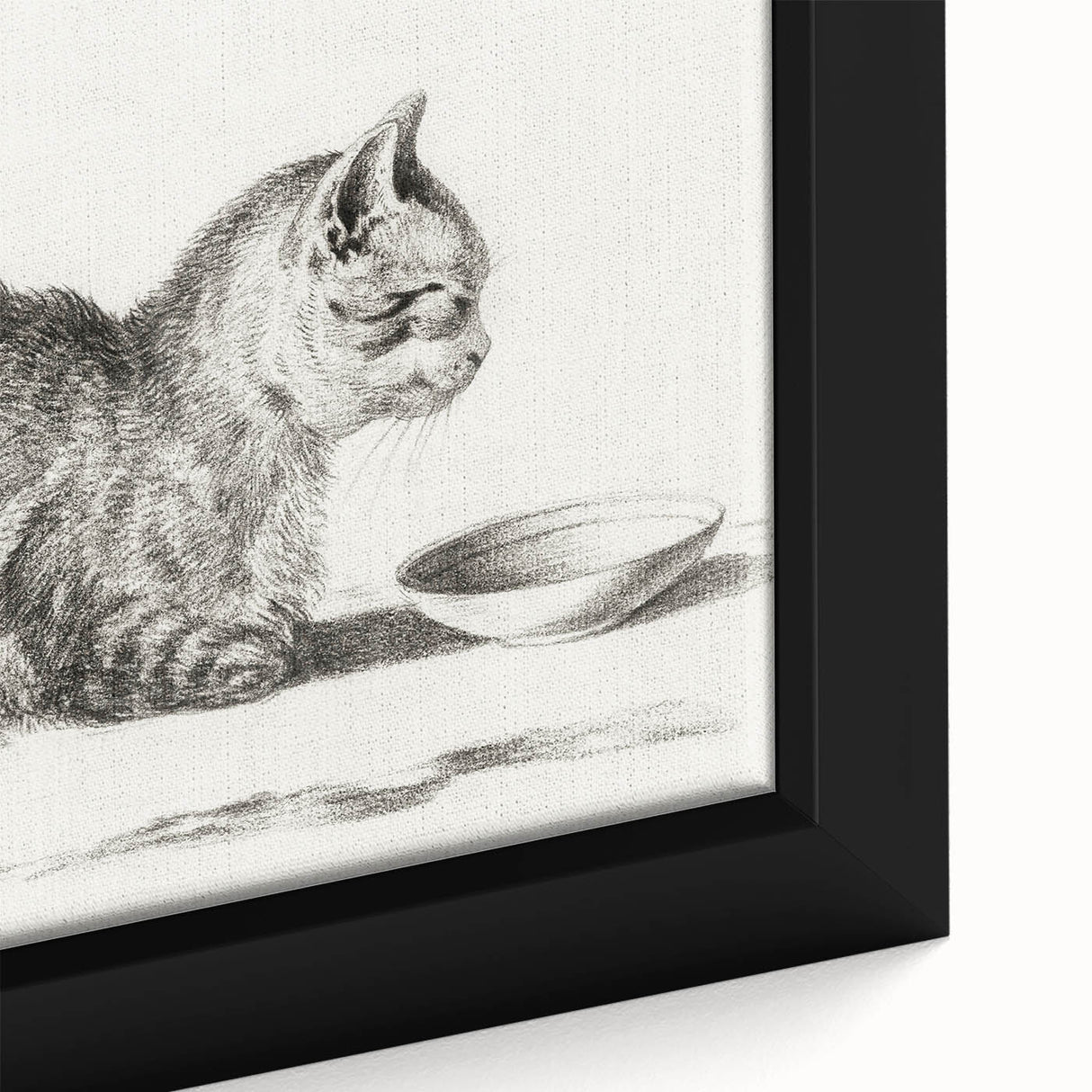 Famous Romantic Era Art: Brush Turkey - Historical Romantic Art Print