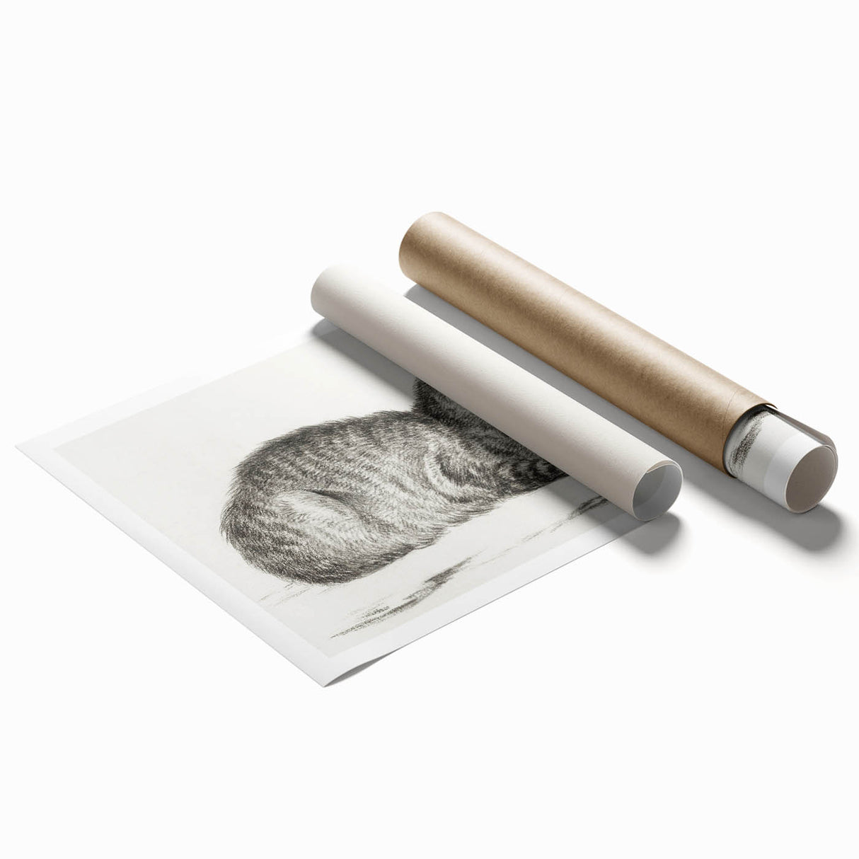 Famous Romantic Era Art: Brush Turkey - Historical Romantic Art Print