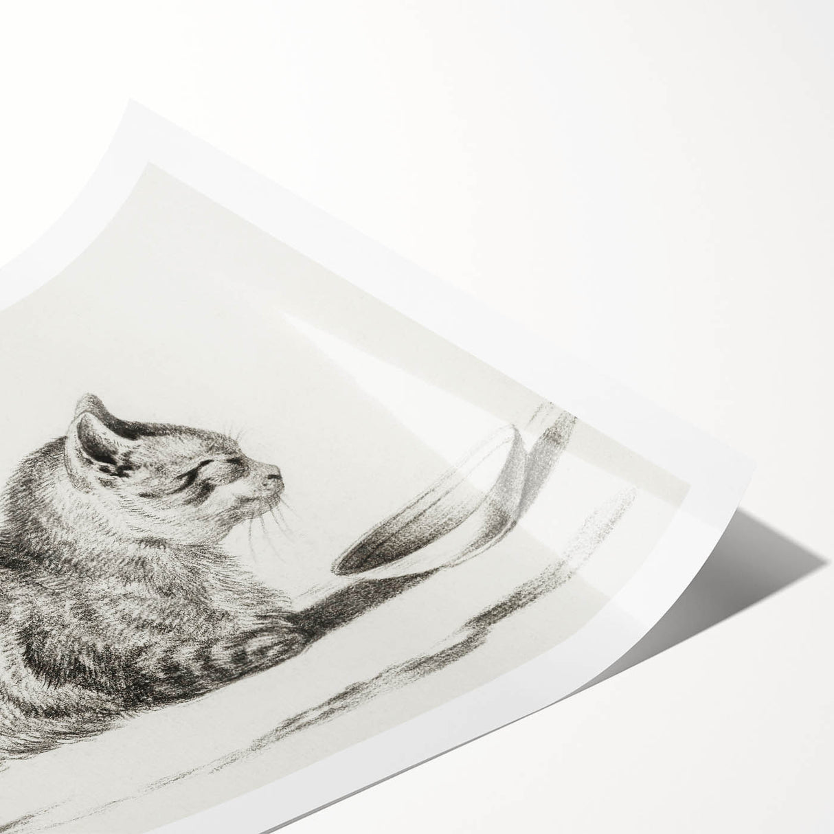 Famous Romantic Era Art: Brush Turkey - Historical Romantic Art Print