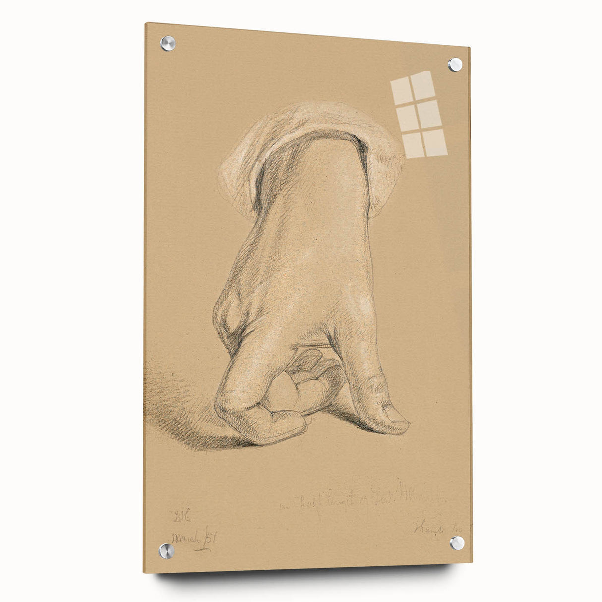 Romanticism Art: Alexander Hamilton Hand Study Canvas Print