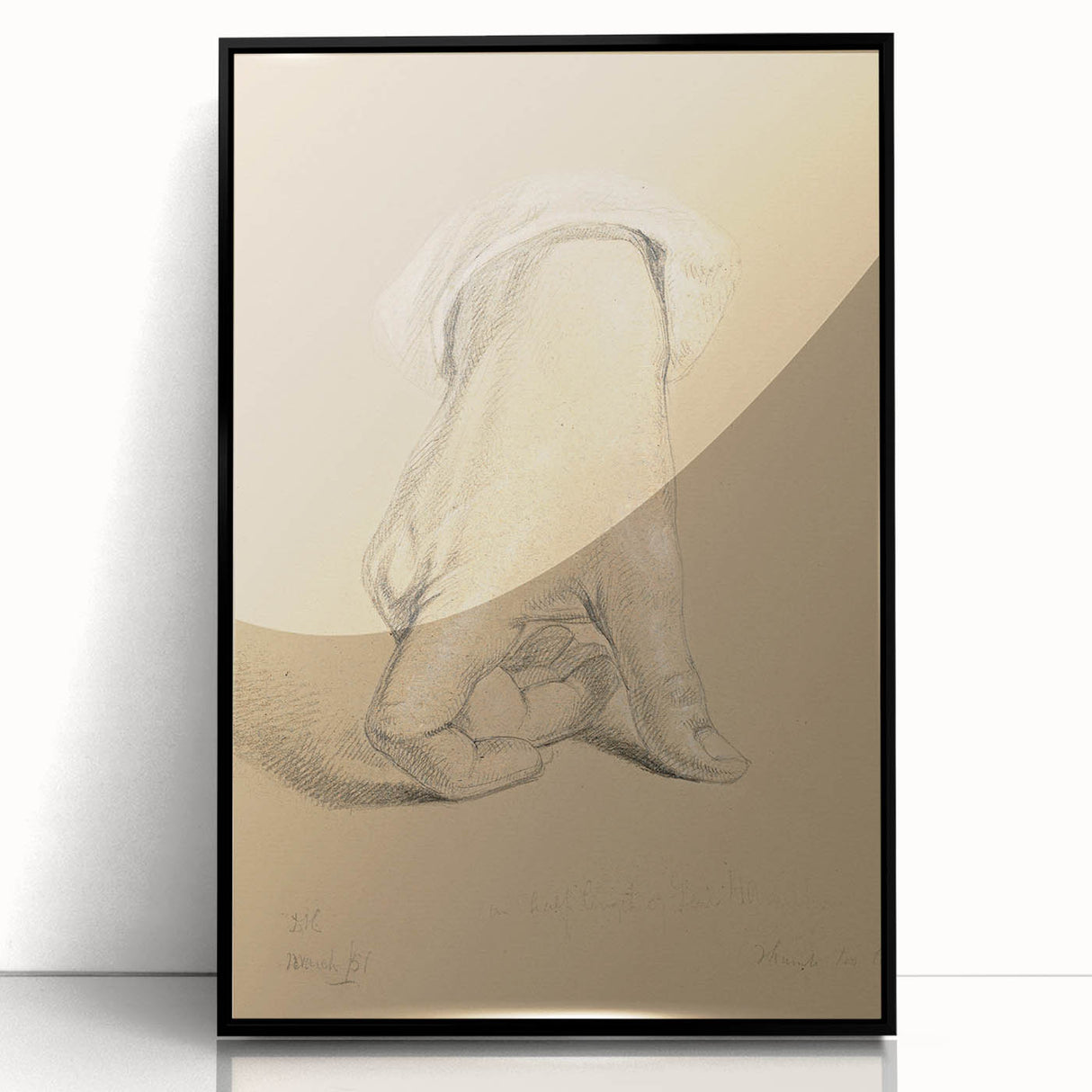 Romanticism Art: Alexander Hamilton Hand Study Canvas Print