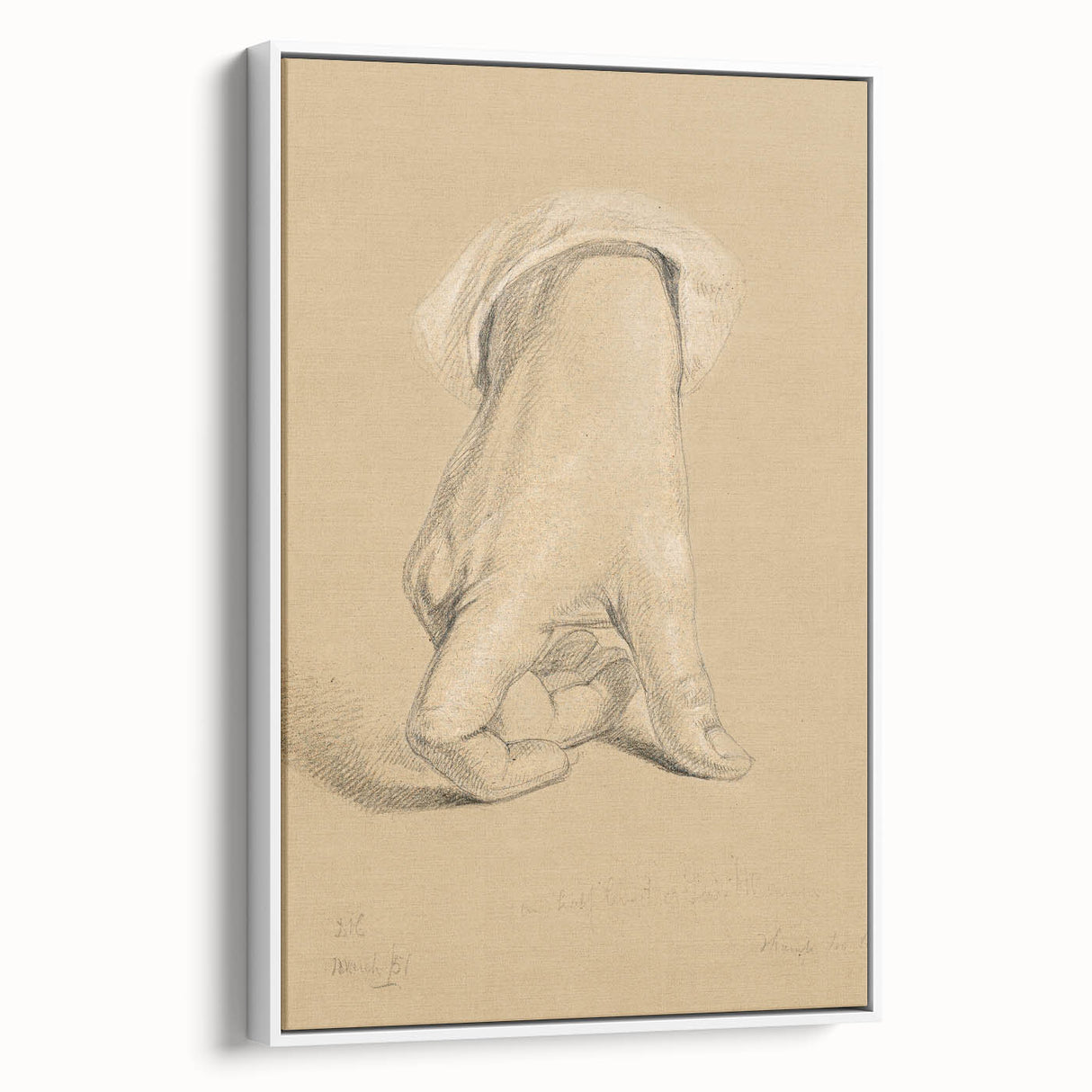 Romanticism Art: Alexander Hamilton Hand Study Canvas Print
