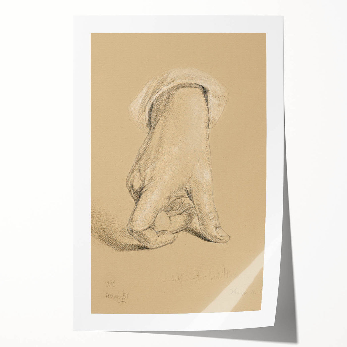Romanticism Art: Alexander Hamilton Hand Study Canvas Print