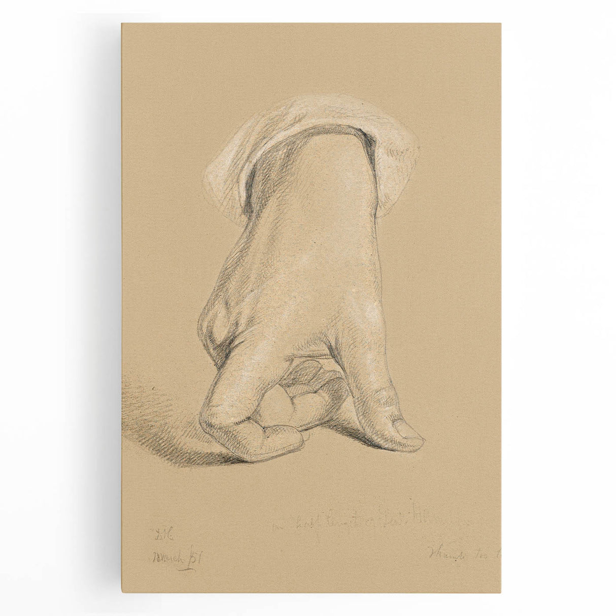 Romanticism Art: Alexander Hamilton Hand Study Canvas Print