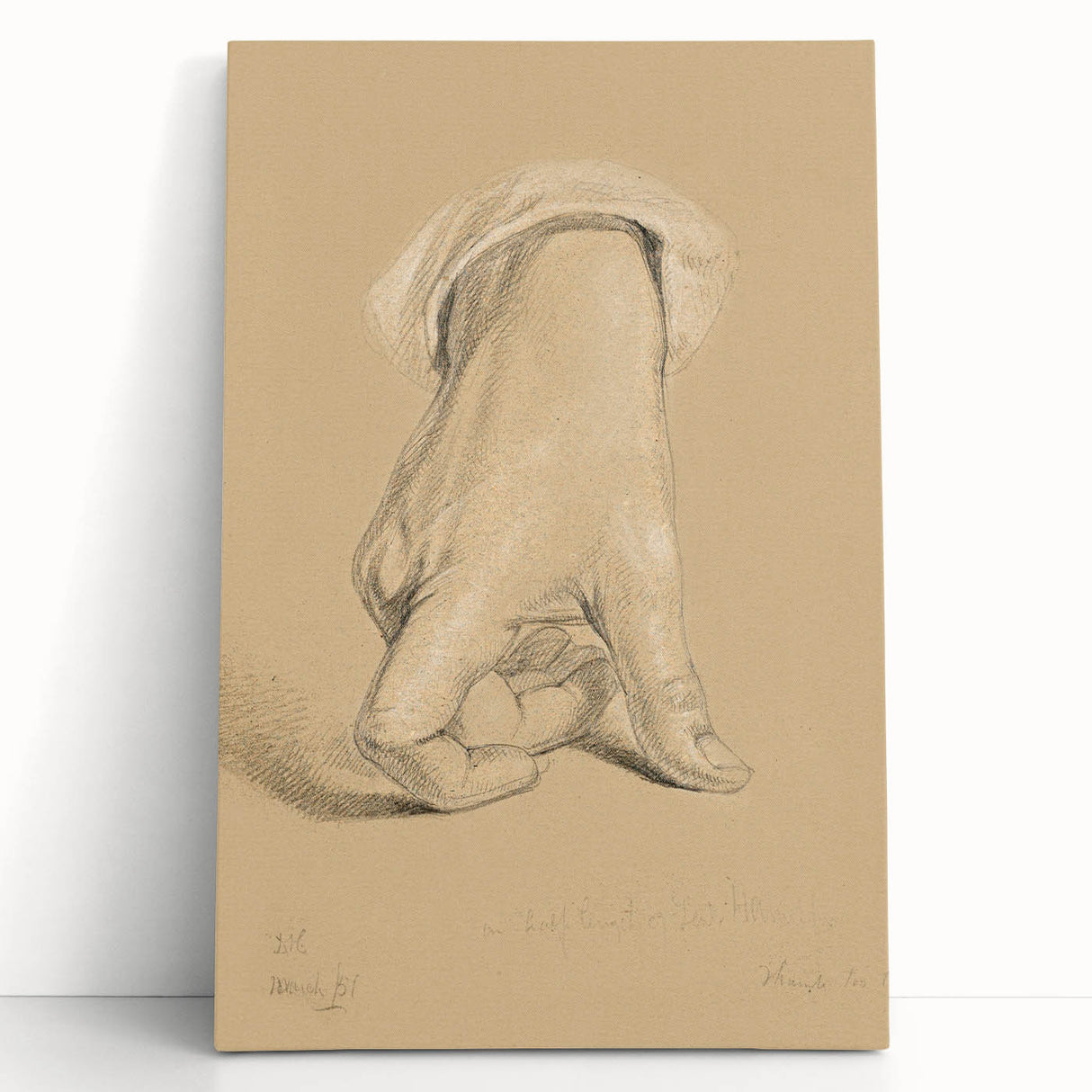 Romanticism Art: Alexander Hamilton Hand Study Canvas Print