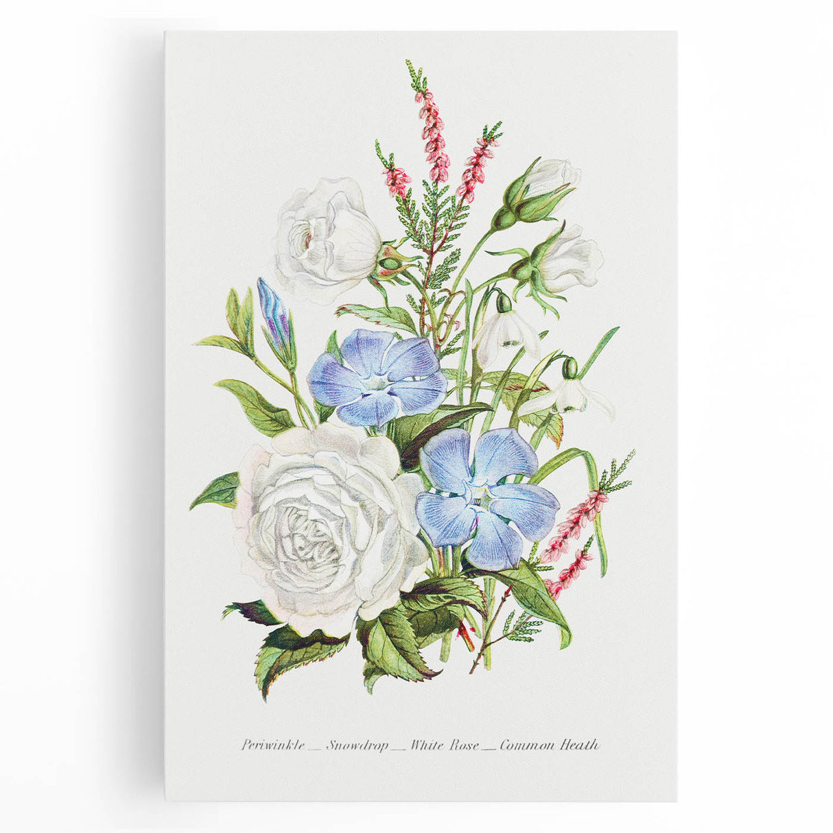 Romanticism Art: Floral Bouquet Illustration Canvas Print