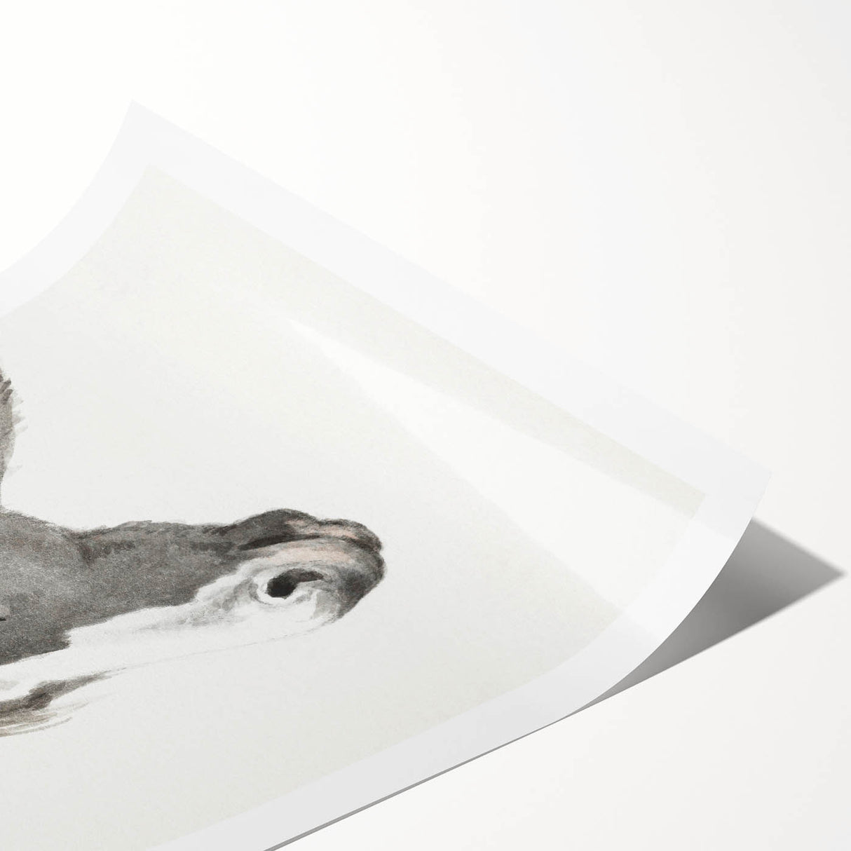 Romanticism Art: Horse Portrait by Jean Bernard Canvas Print