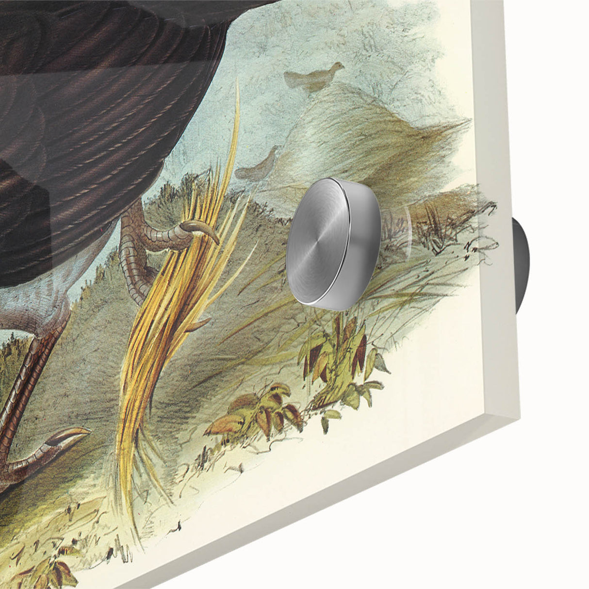 Famous Romantic Era Art: Brush Turkey Romanticism Art on Canvas