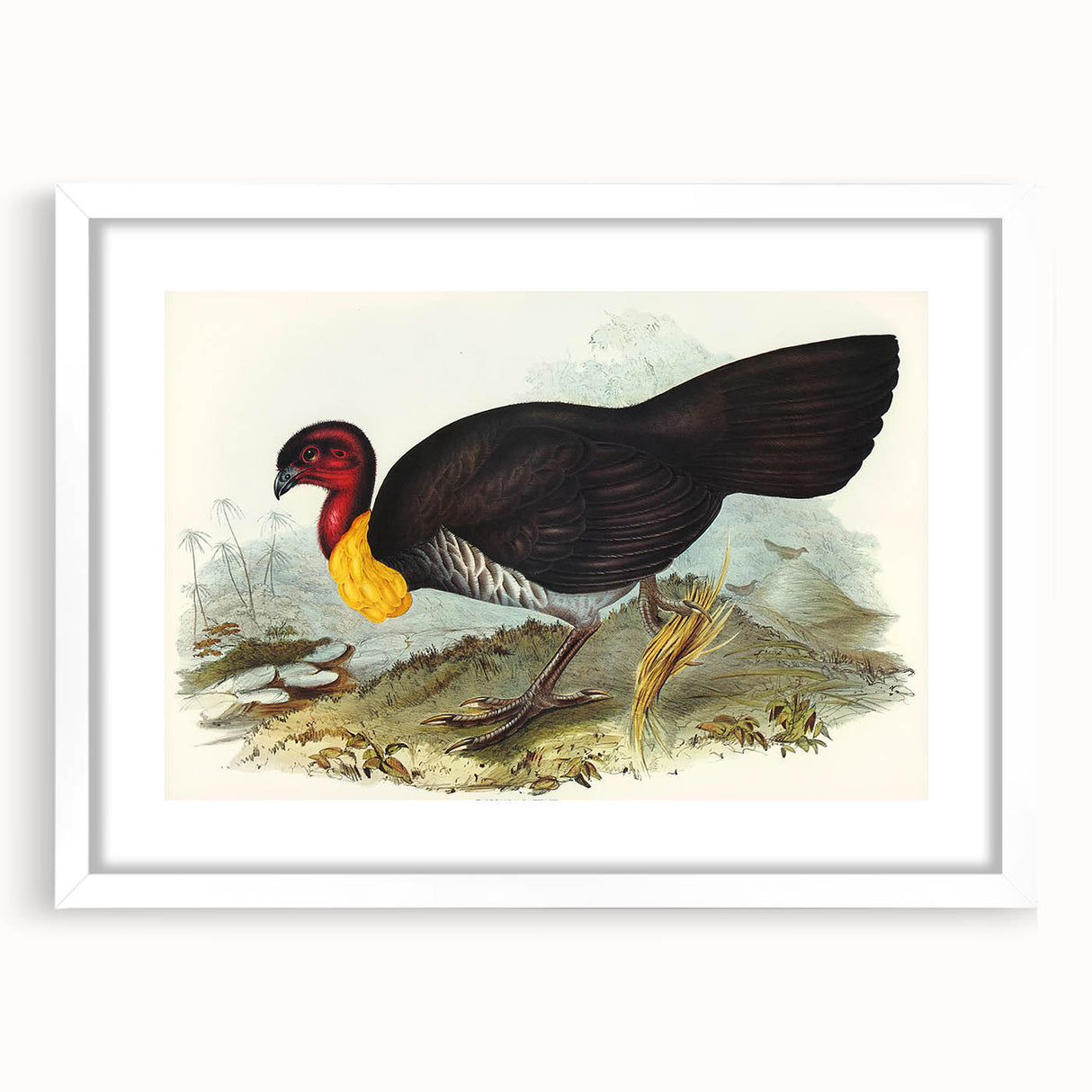 Famous Romantic Era Art: Brush Turkey Romanticism Art on Canvas