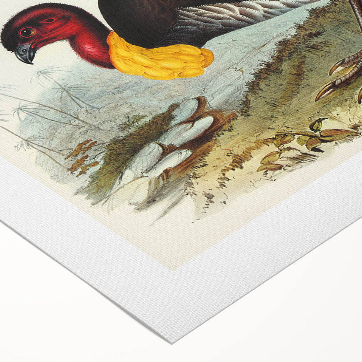 Famous Romantic Era Art: Brush Turkey Romanticism Art on Canvas