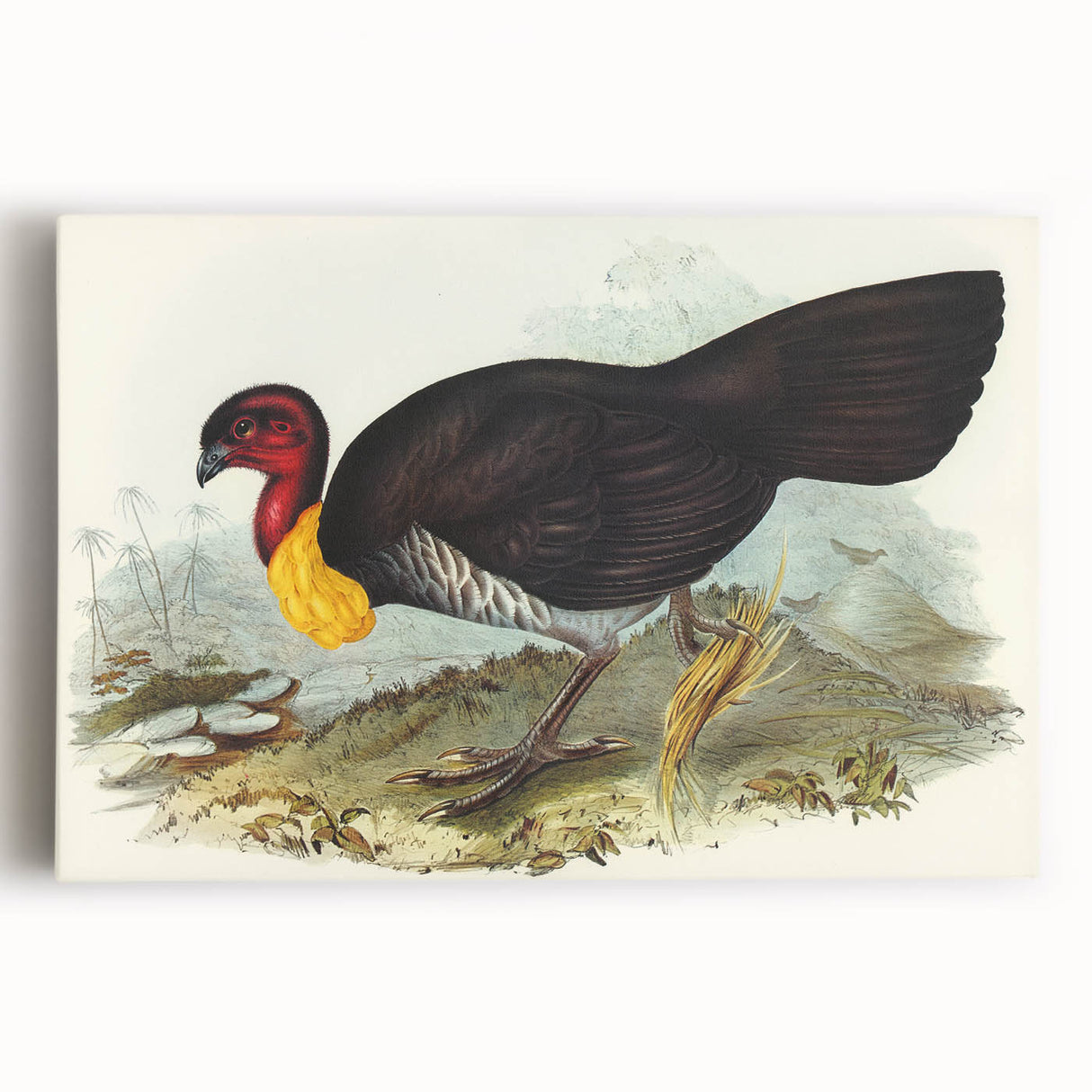 Famous Romantic Era Art: Brush Turkey Romanticism Art on Canvas