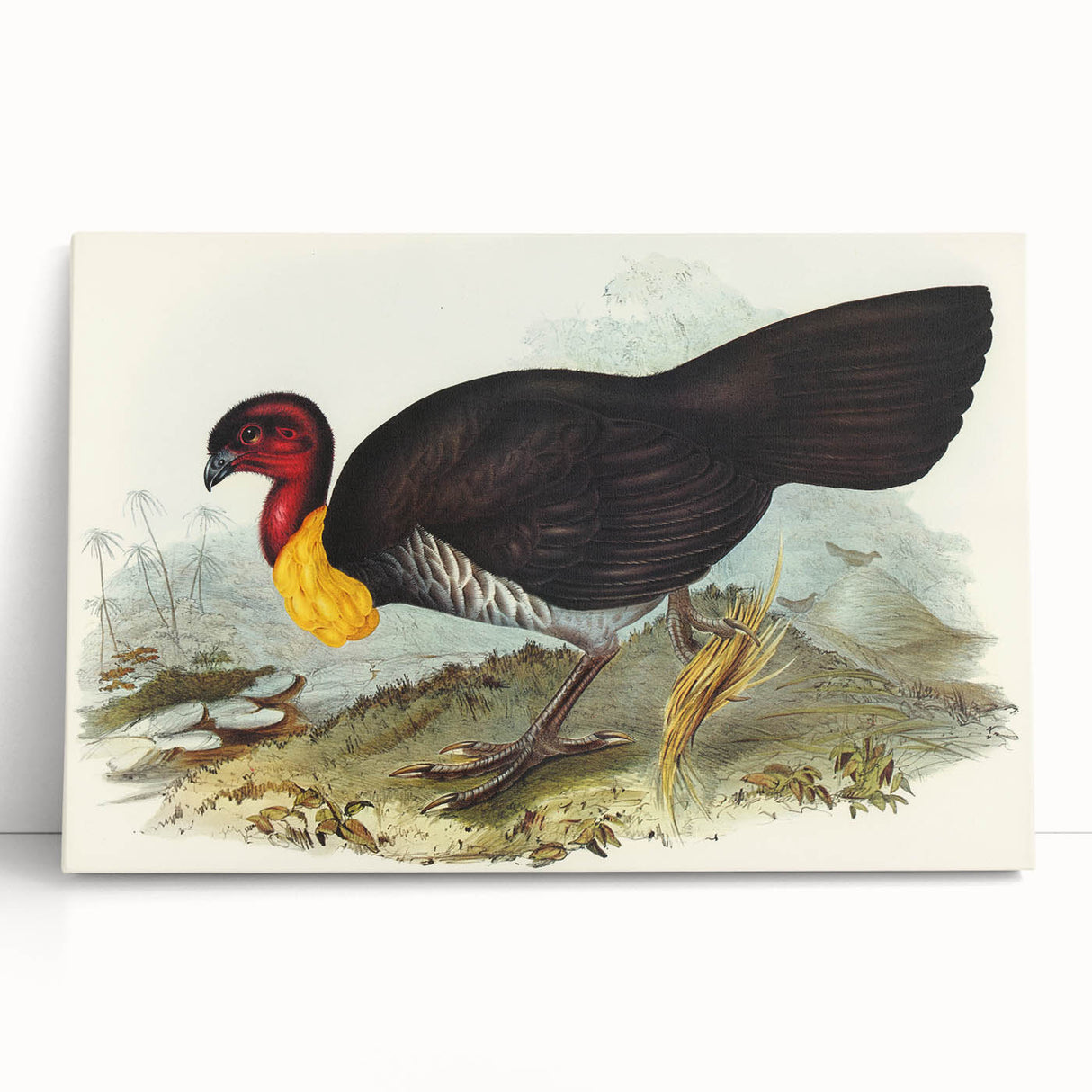 Famous Romantic Era Art: Brush Turkey Romanticism Art on Canvas