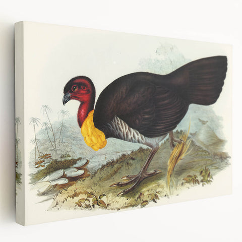 Famous Romantic Era Art: Brush Turkey Romanticism Art on Canvas