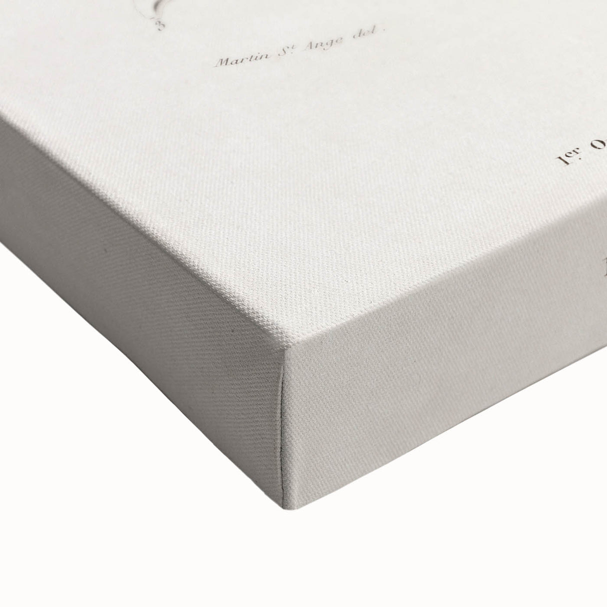 Romanticism Art: Human Skeleton Anatomical Illustration Canvas Print