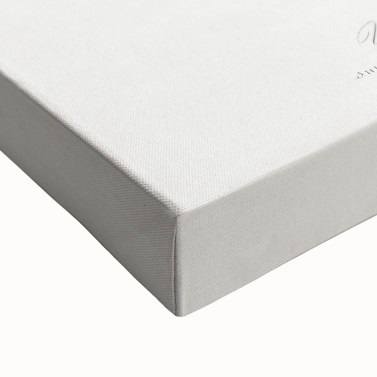 Romanticism Art: Vibrant Butterfly Illustration Canvas Print