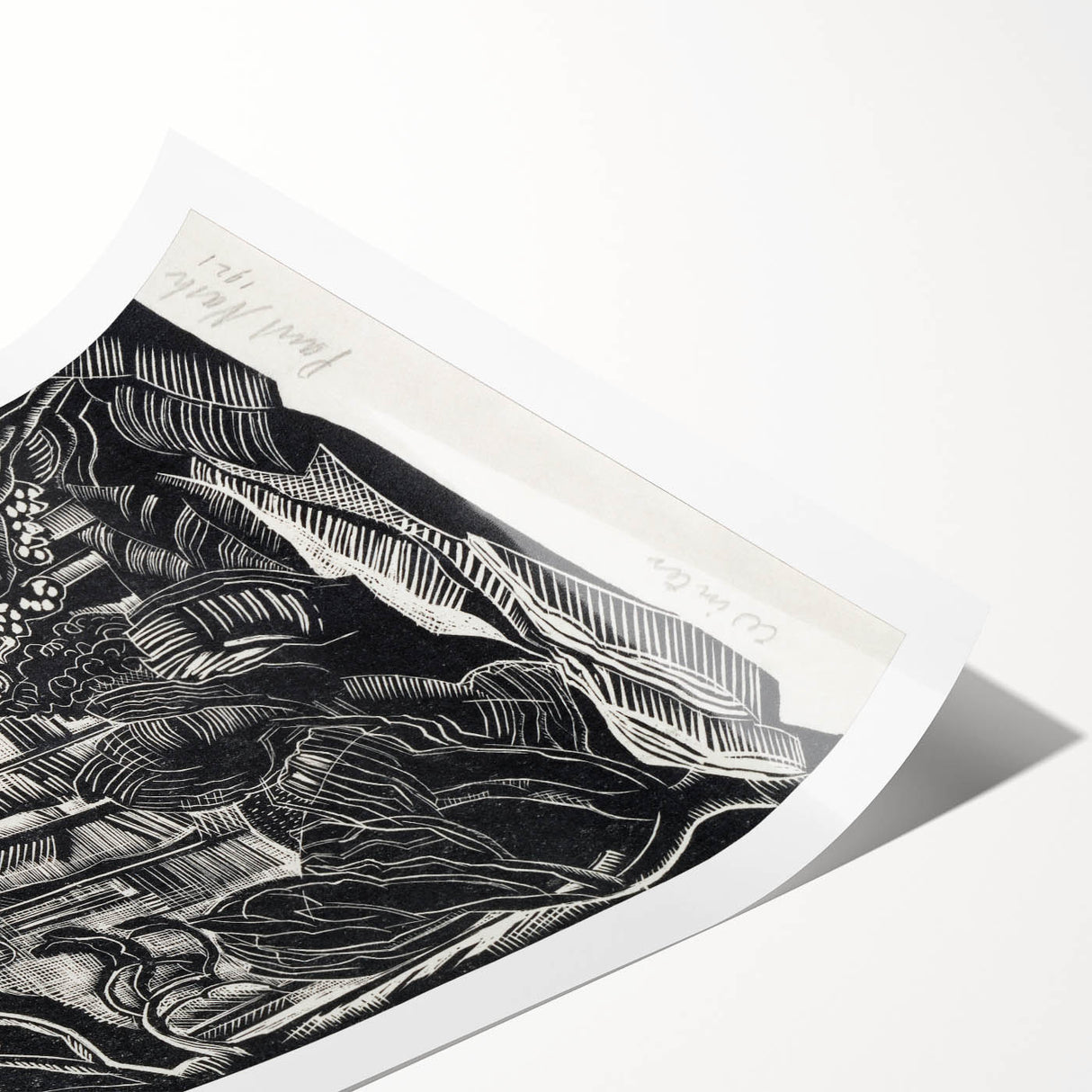 Modern Wall Art: Winter Scene - Monochrome Abstract Nature Print