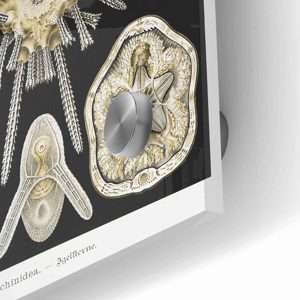 Modern Wall Art: Geometric Woman - Bold Abstract Feminine Print