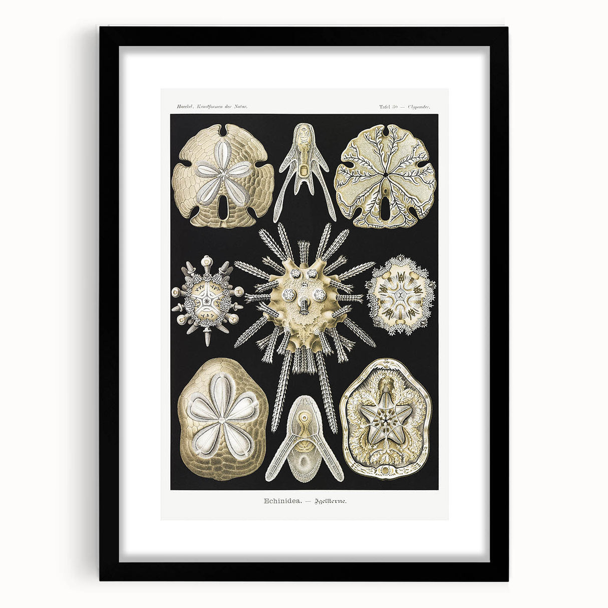 Modern Wall Art: Geometric Woman - Bold Abstract Feminine Print