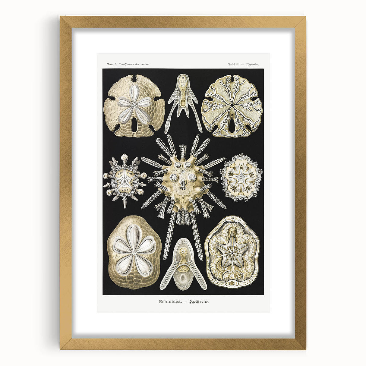 Modern Wall Art: Geometric Woman - Bold Abstract Feminine Print