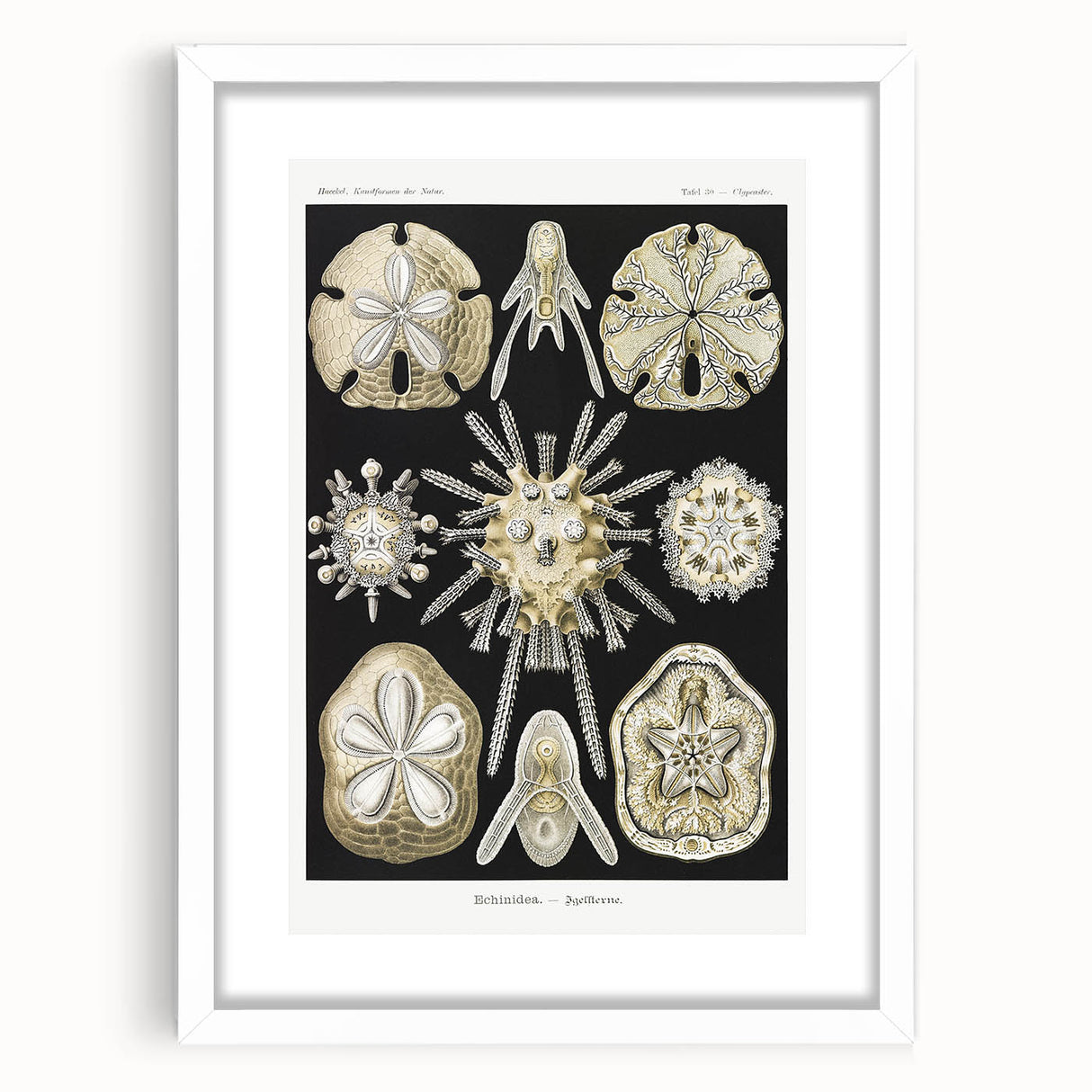 Modern Wall Art: Geometric Woman - Bold Abstract Feminine Print