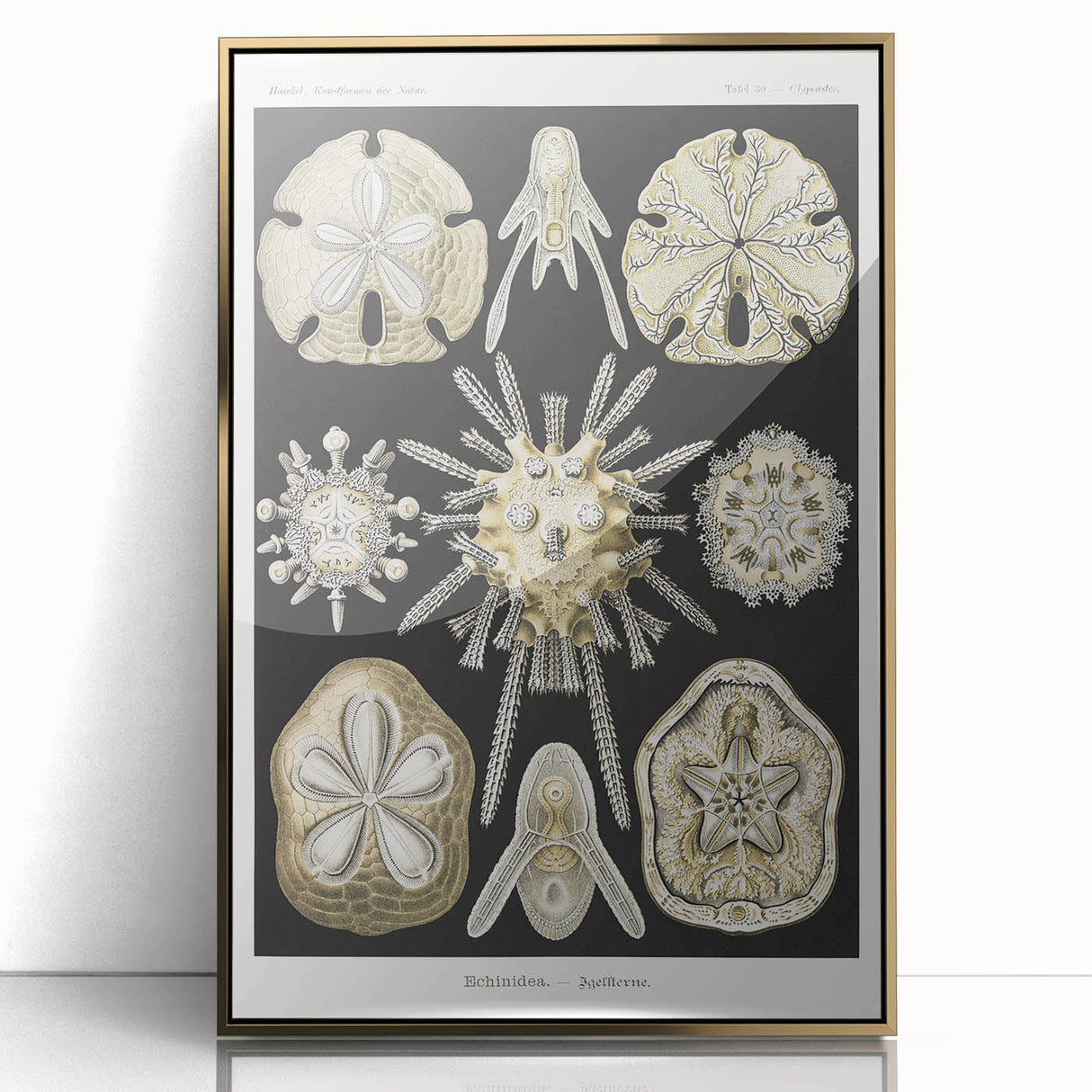 Modern Wall Art: Geometric Woman - Bold Abstract Feminine Print