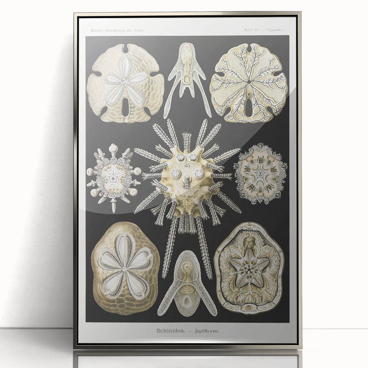 Modern Wall Art: Geometric Woman - Bold Abstract Feminine Print