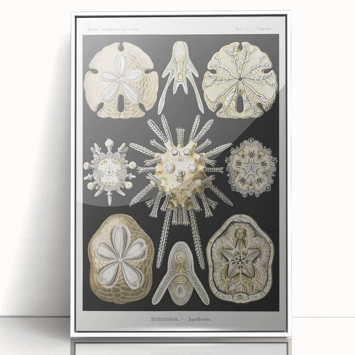 Modern Wall Art: Geometric Woman - Bold Abstract Feminine Print