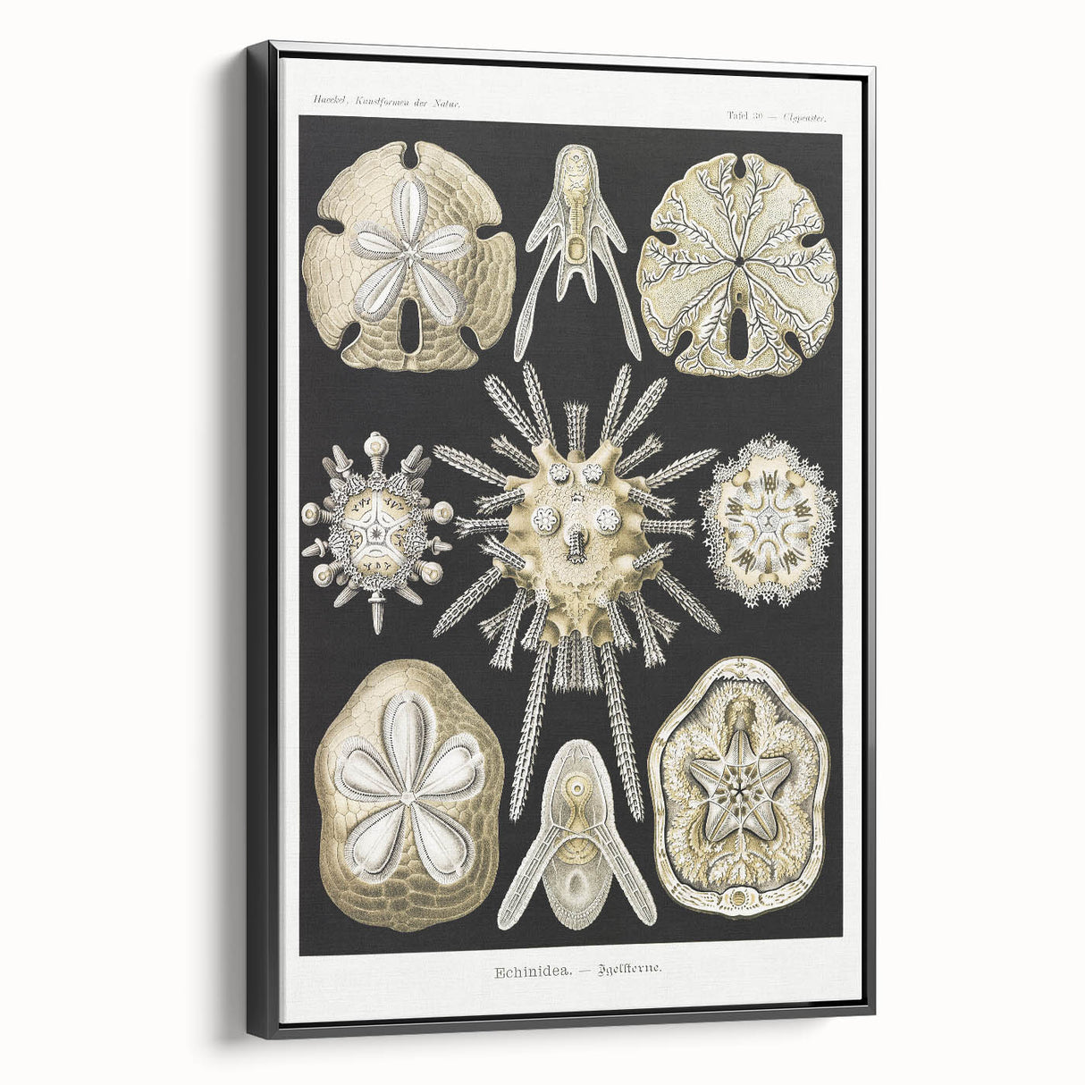 Modern Wall Art: Geometric Woman - Bold Abstract Feminine Print