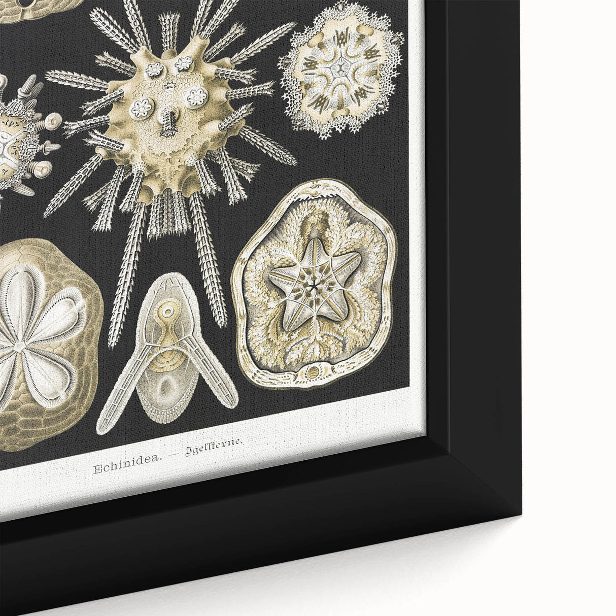 Modern Wall Art: Geometric Woman - Bold Abstract Feminine Print