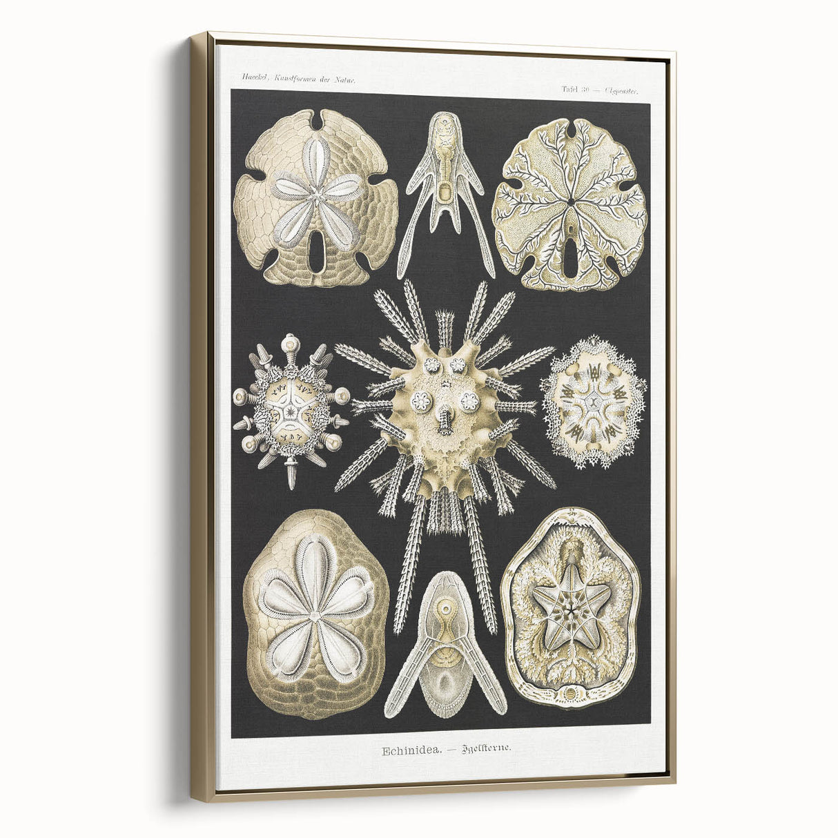 Modern Wall Art: Geometric Woman - Bold Abstract Feminine Print