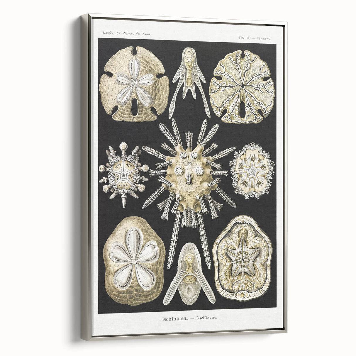 Modern Wall Art: Geometric Woman - Bold Abstract Feminine Print