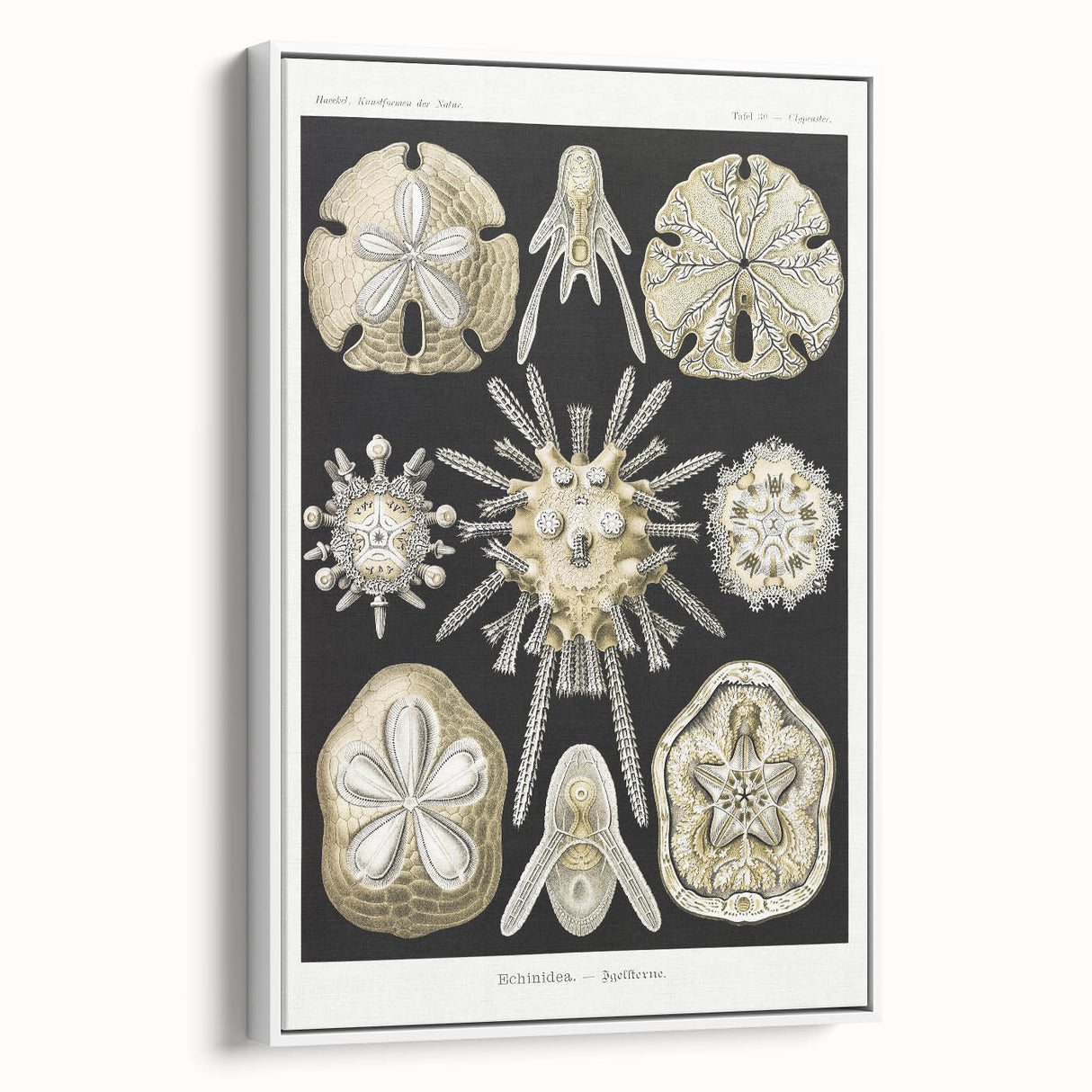 Modern Wall Art: Geometric Woman - Bold Abstract Feminine Print