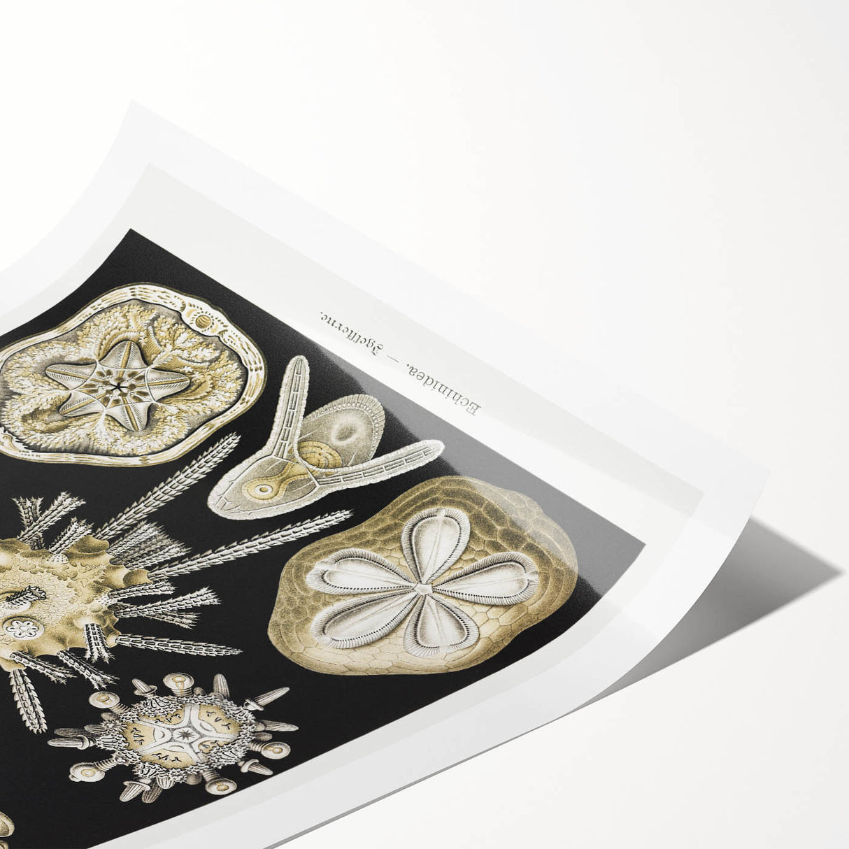 Modern Wall Art: Geometric Woman - Bold Abstract Feminine Print