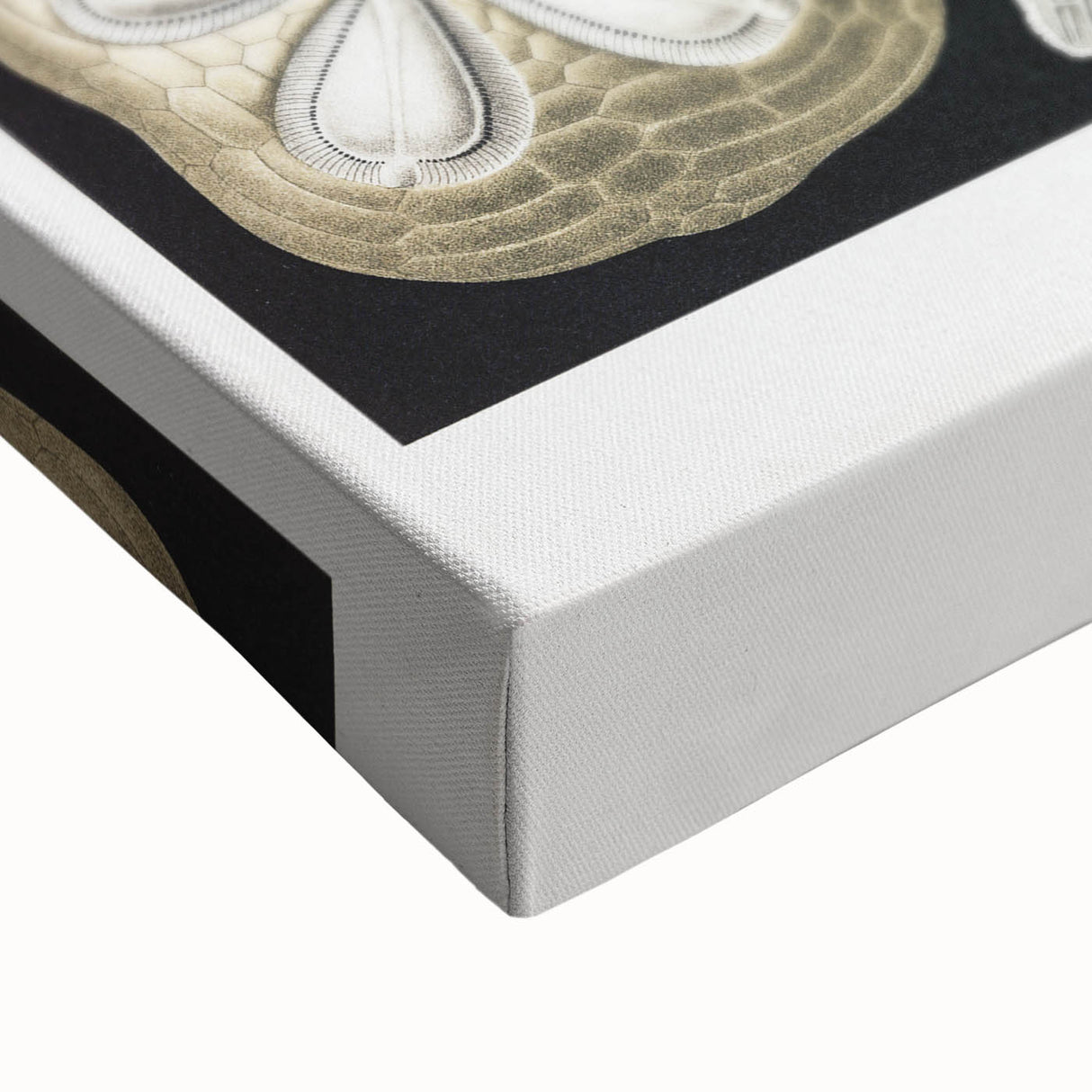 Modern Wall Art: Geometric Woman - Bold Abstract Feminine Print