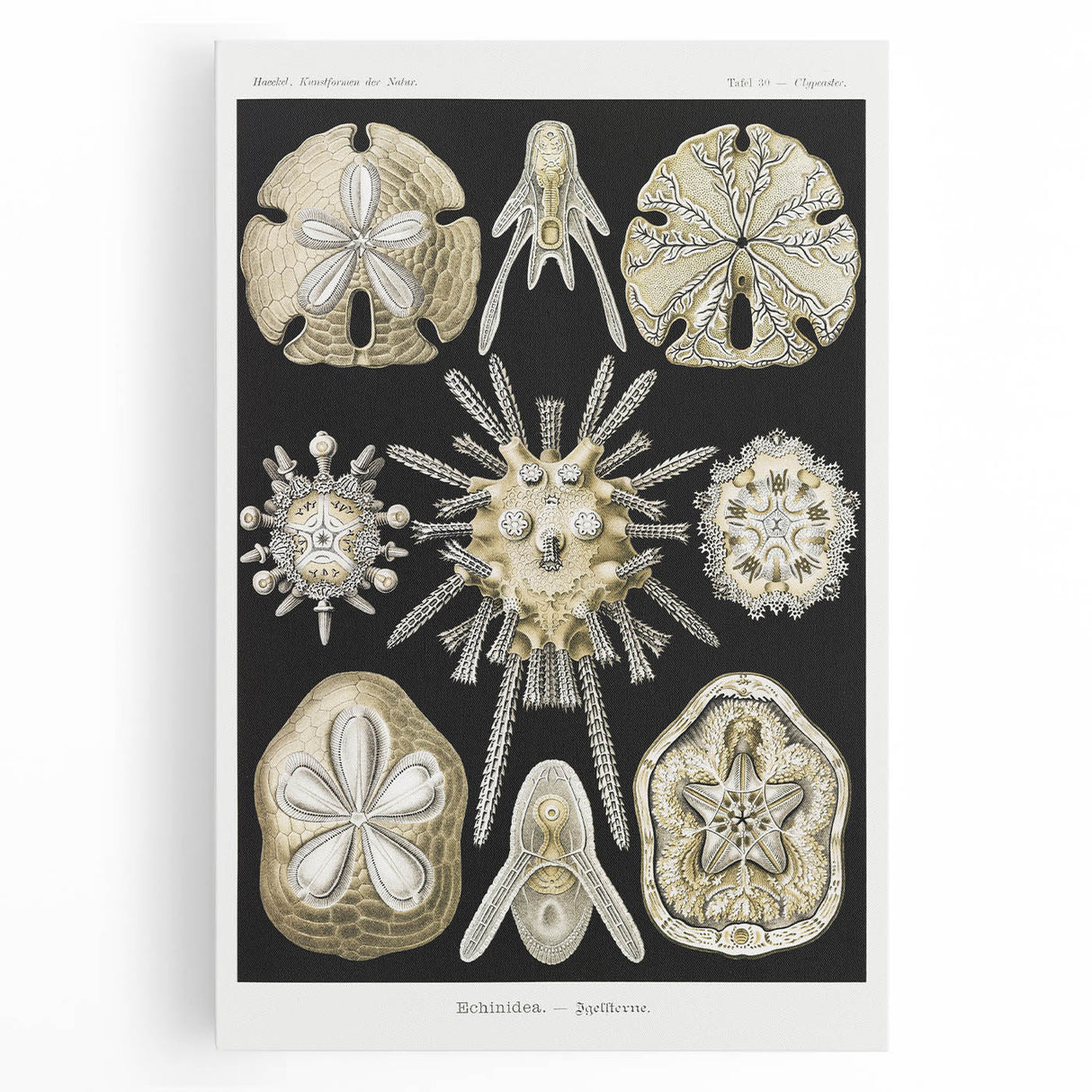 Modern Wall Art: Geometric Woman - Bold Abstract Feminine Print