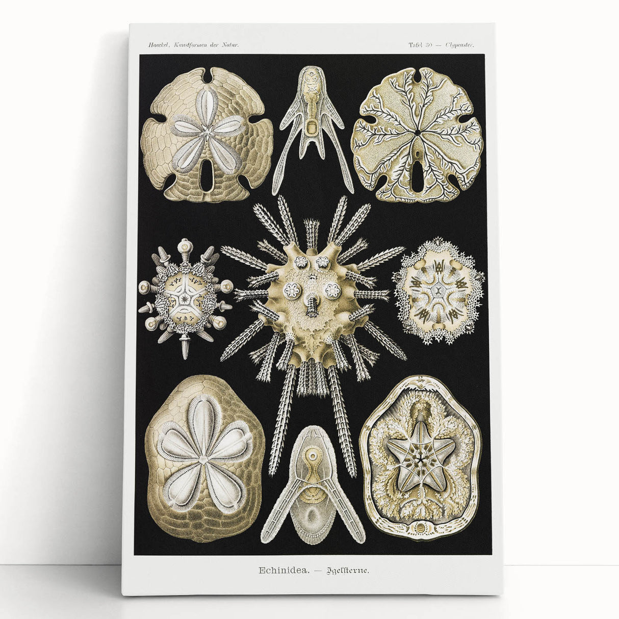 Modern Wall Art: Geometric Woman - Bold Abstract Feminine Print