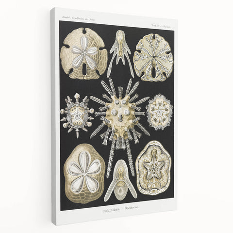 Modern Wall Art: Geometric Woman - Bold Abstract Feminine Print