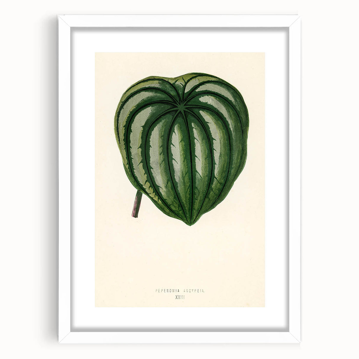 Romanticism Art - Historical Romanticism Canvas of Nature's Beauty