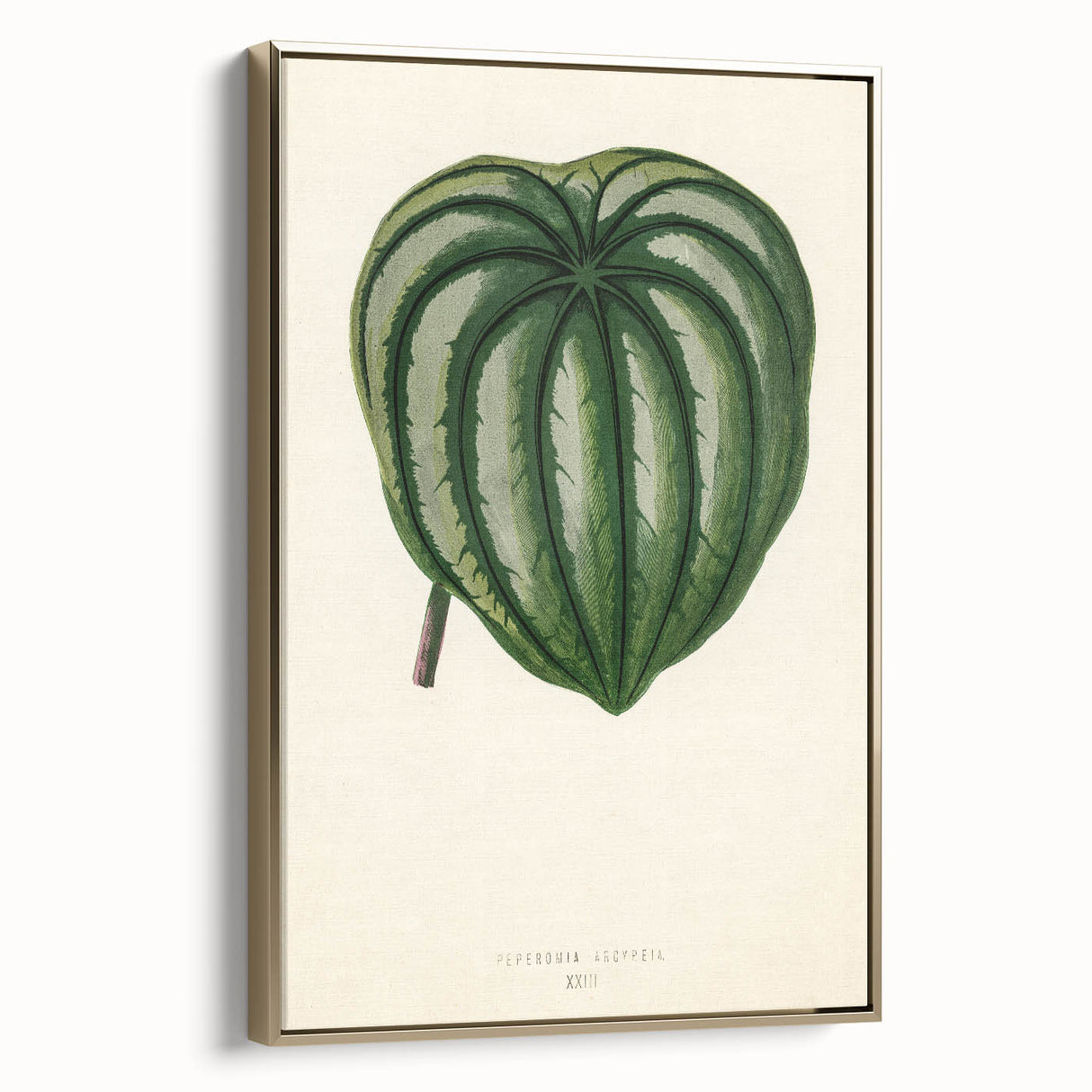 Romanticism Art - Historical Romanticism Canvas of Nature's Beauty