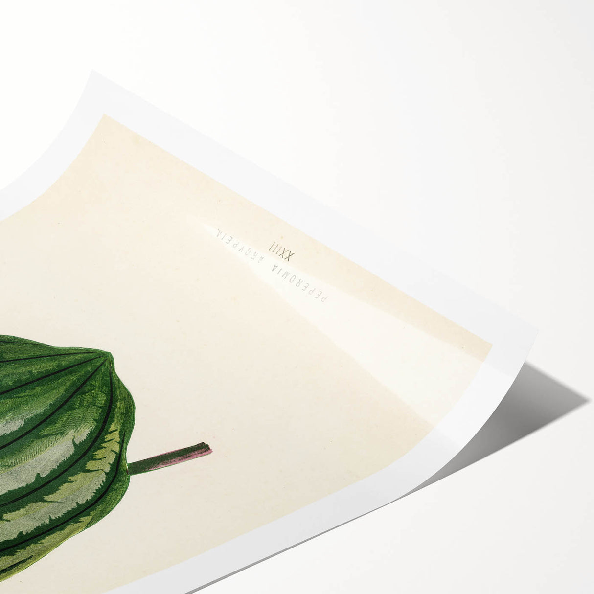 Romanticism Art - Historical Romanticism Canvas of Nature's Beauty