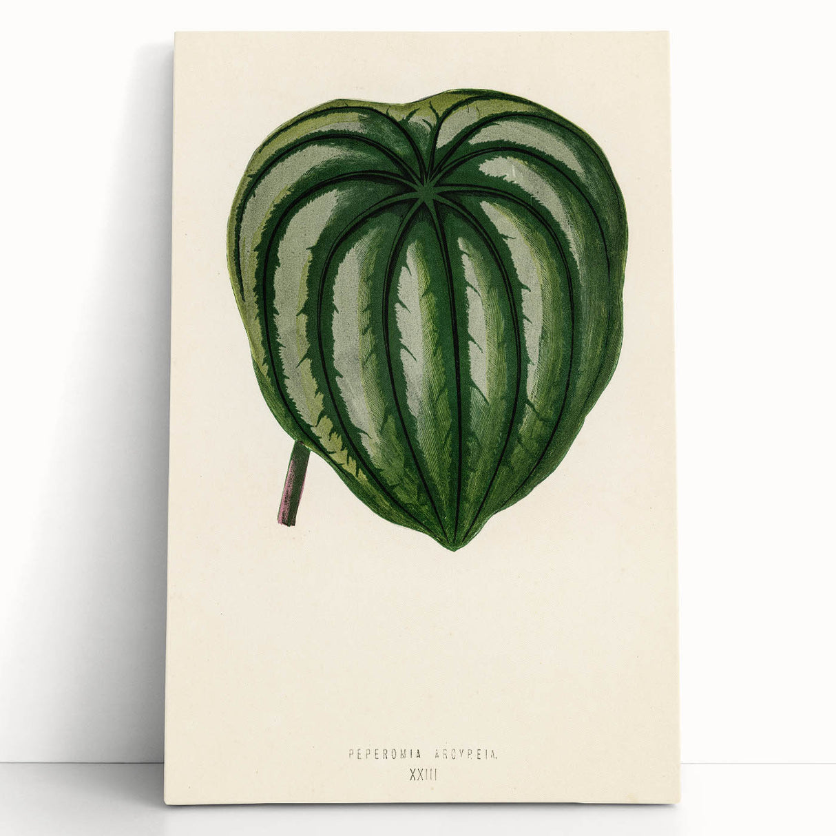 Romanticism Art - Historical Romanticism Canvas of Nature's Beauty