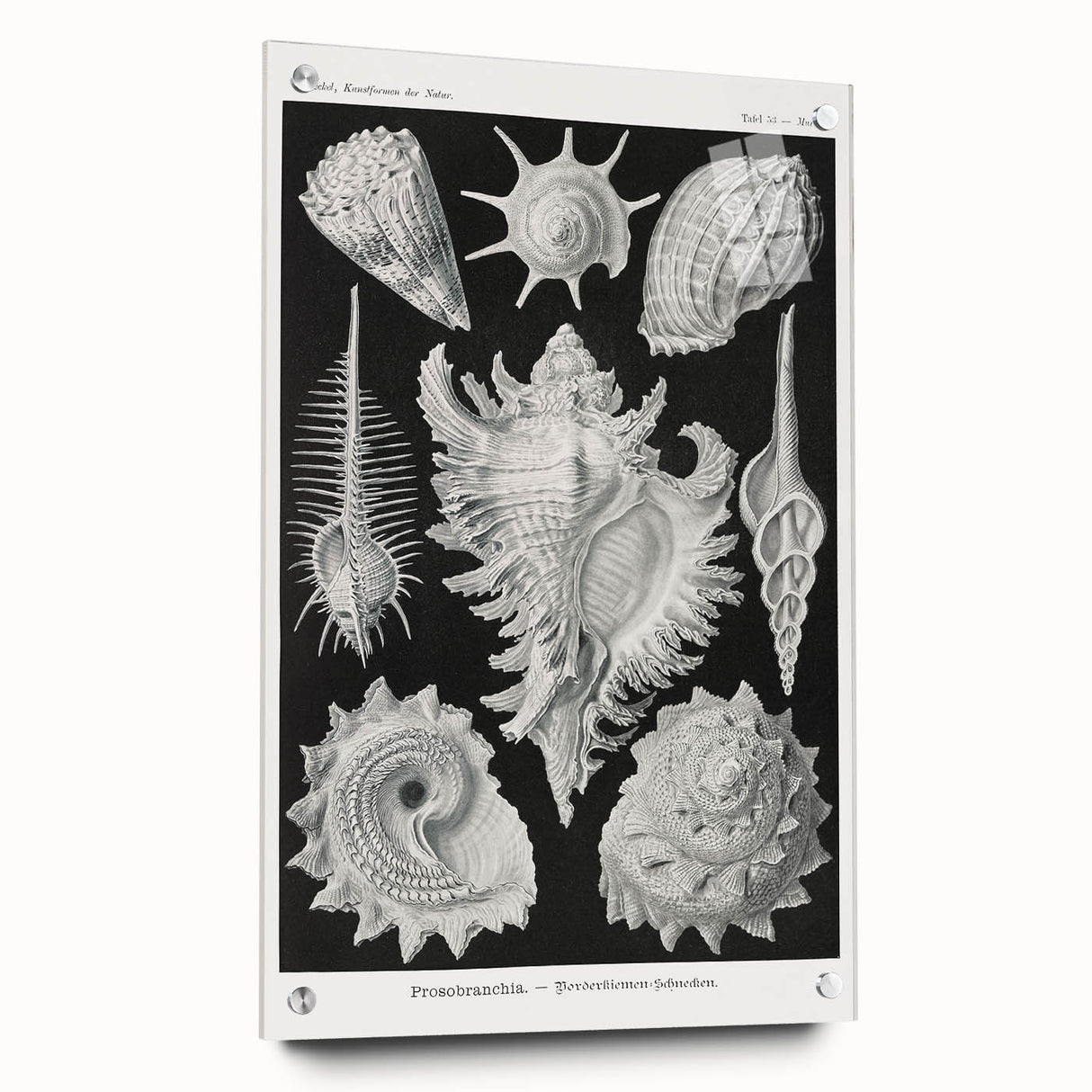 Modern Wall Art: Abstract Faces - Contemporary Minimalist Print