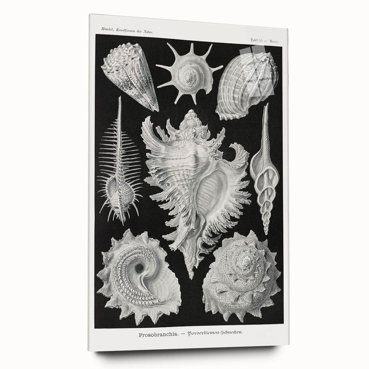 Modern Wall Art: Abstract Faces - Contemporary Minimalist Print