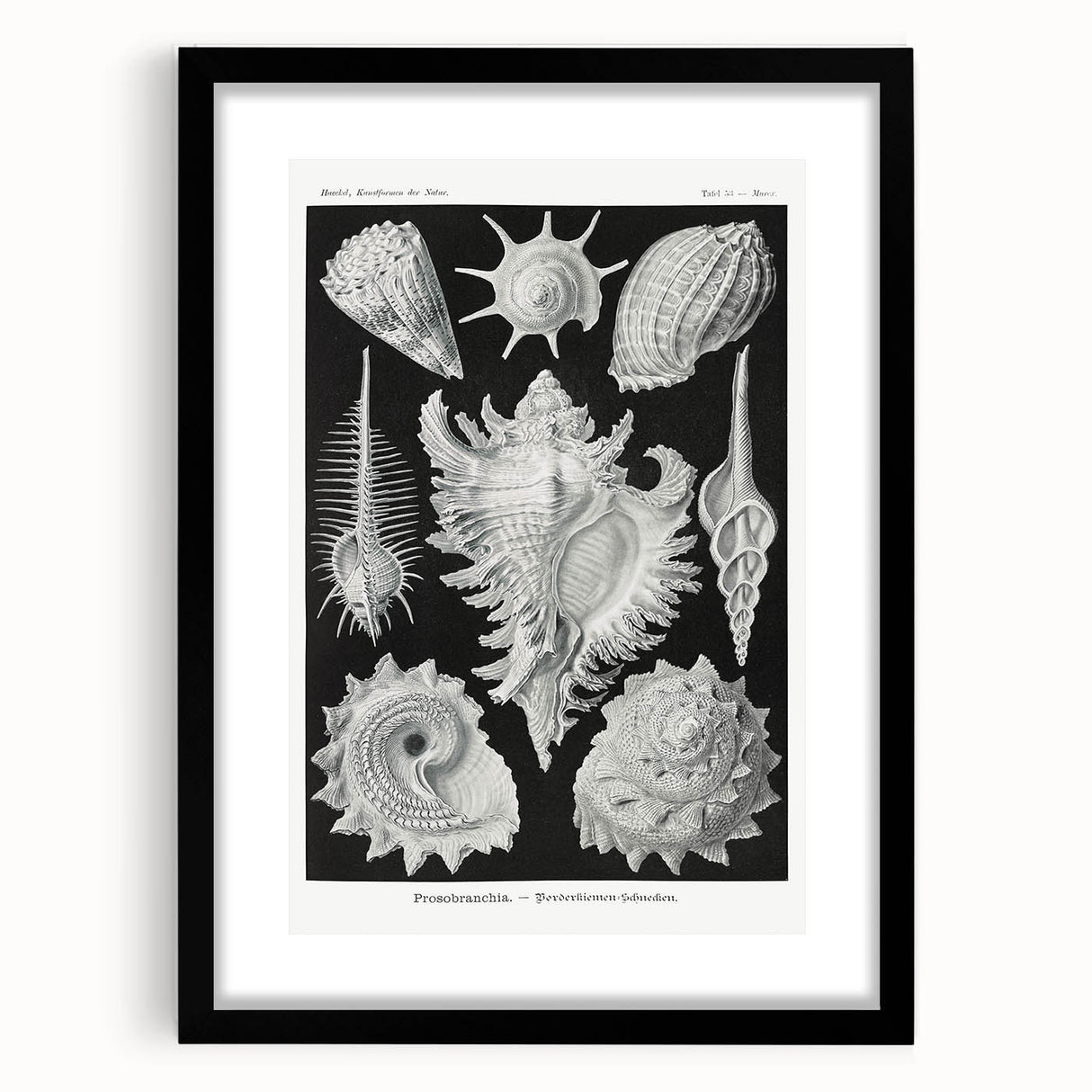 Modern Wall Art: Abstract Faces - Contemporary Minimalist Print