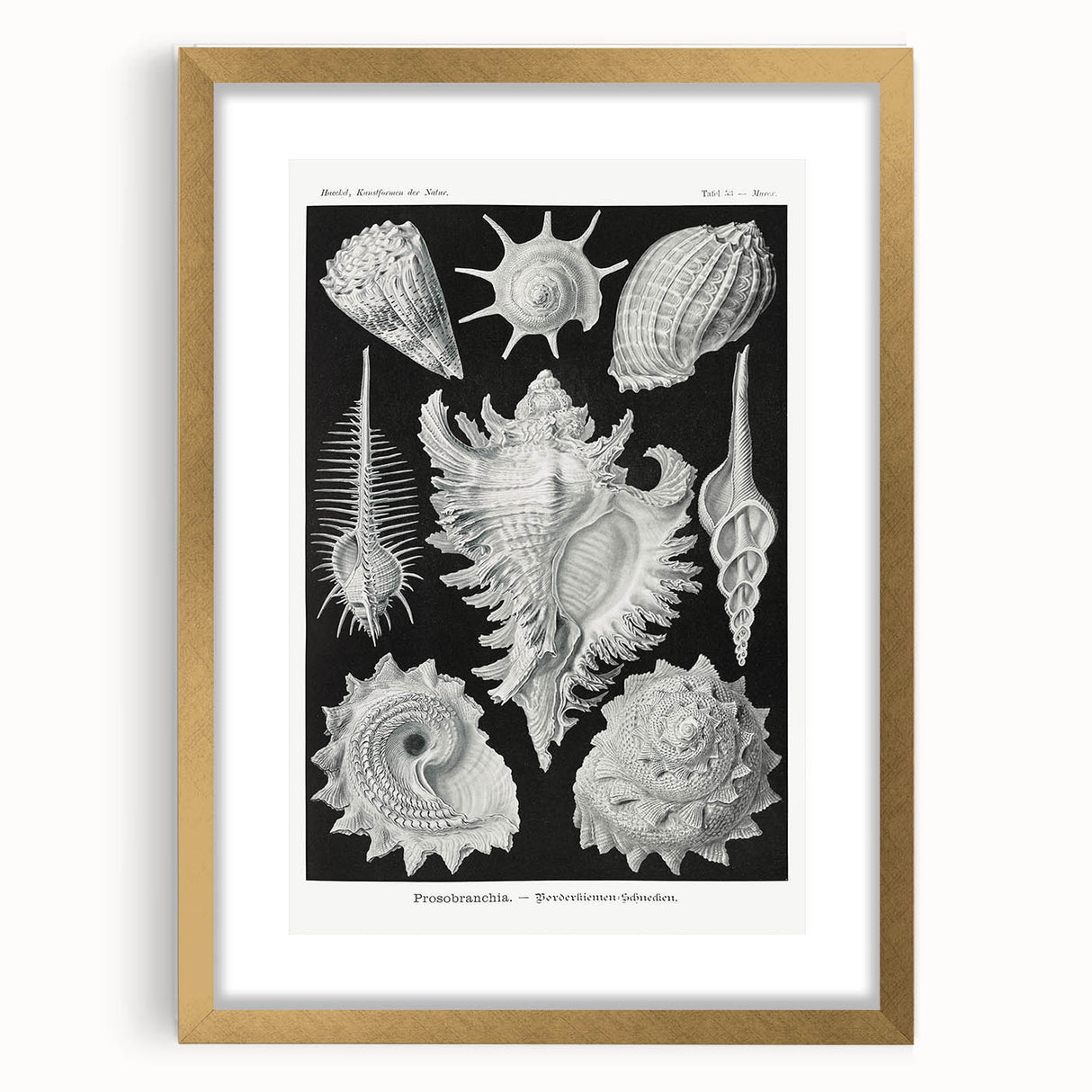 Modern Wall Art: Abstract Faces - Contemporary Minimalist Print