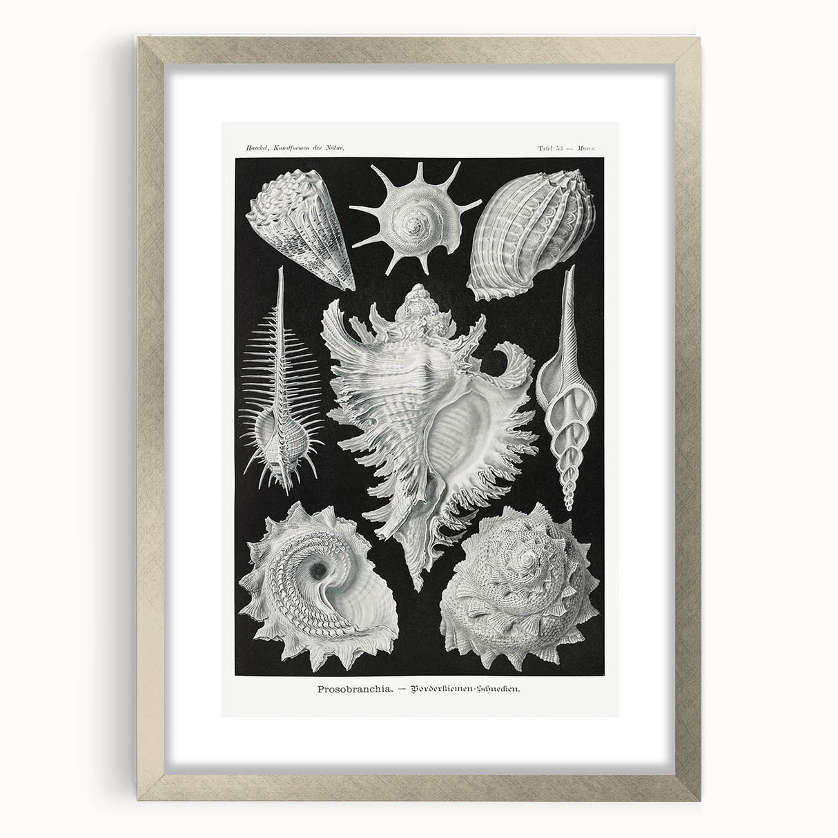 Modern Wall Art: Abstract Faces - Contemporary Minimalist Print